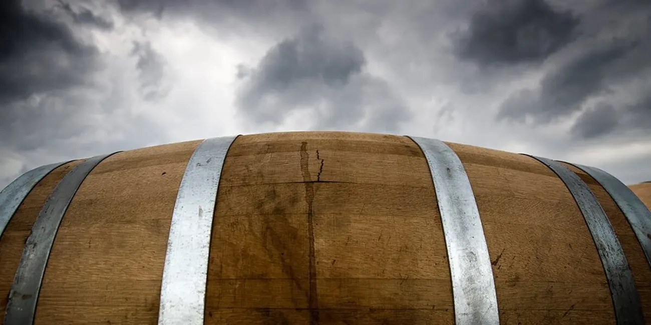 Monkey_Brew_1200x650.jpg