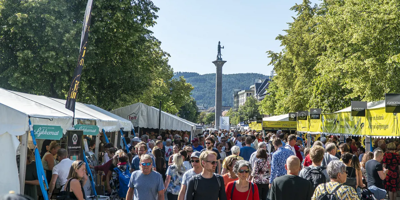 Oversiktsbilde Torget 2019 Leiv Aspen