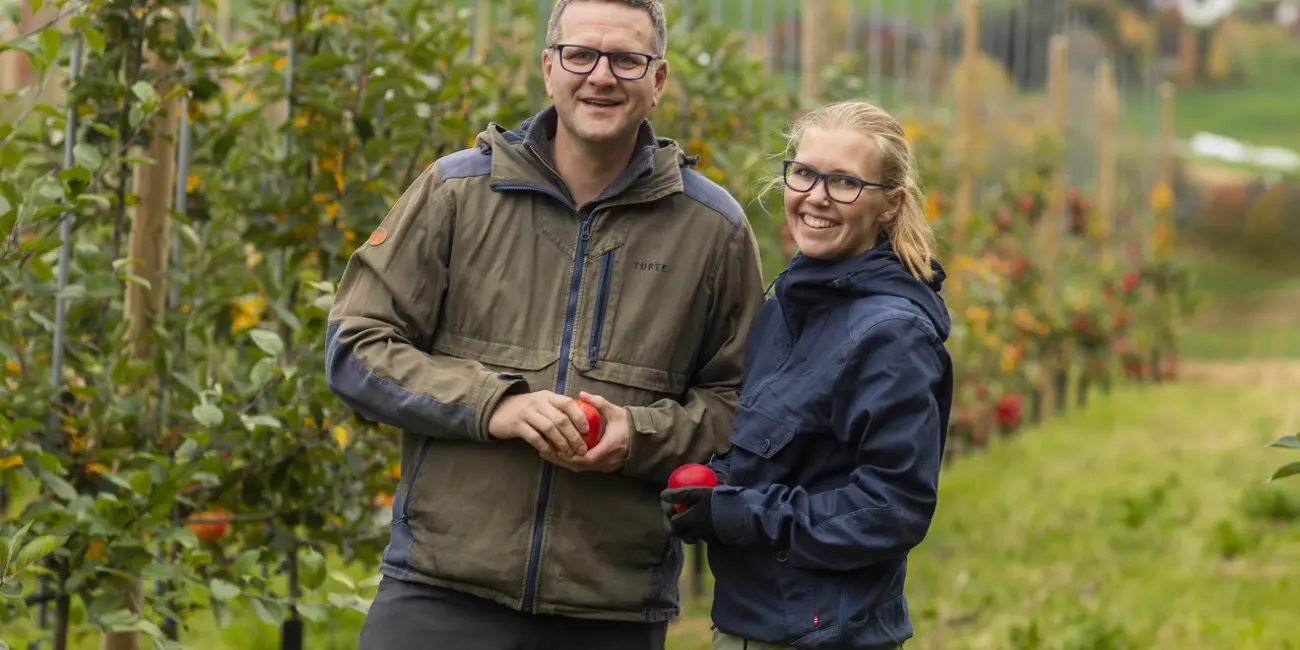 Epleplukking Foto Lenajohnsen25