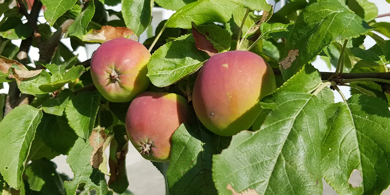 51364881373 Fd18f3d843 K 2