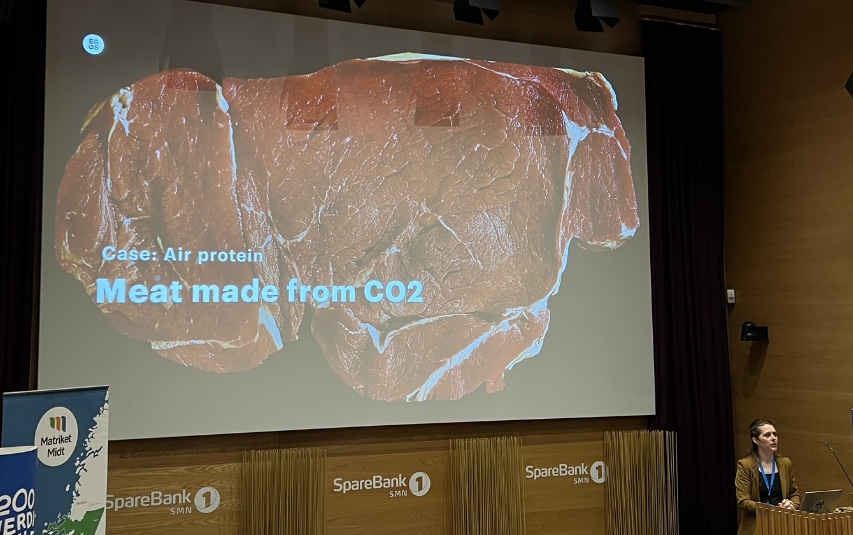Meat Made From Co2 Oidagen