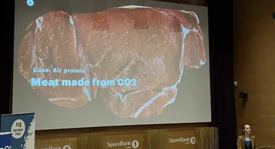 Meat Made From Co2 Oidagen